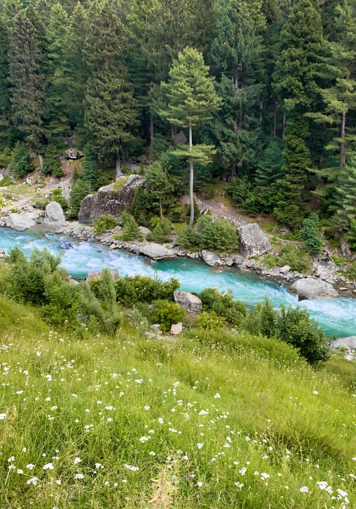 images/new-deal/Kashmir Tour Package 6 Nights 7 Days 3.jpg
